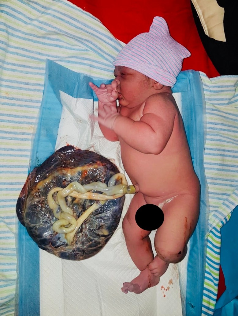 6E430F30-55CF-40B6-89DC-1BF577500C86